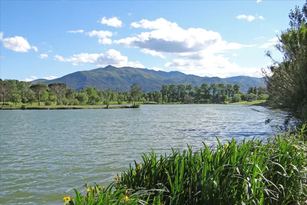 lac Saint Jean plat de corts
